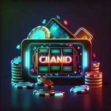 d6666